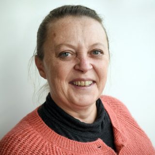 Consultante Cidées