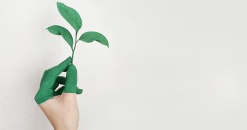 RSE / Développement durable